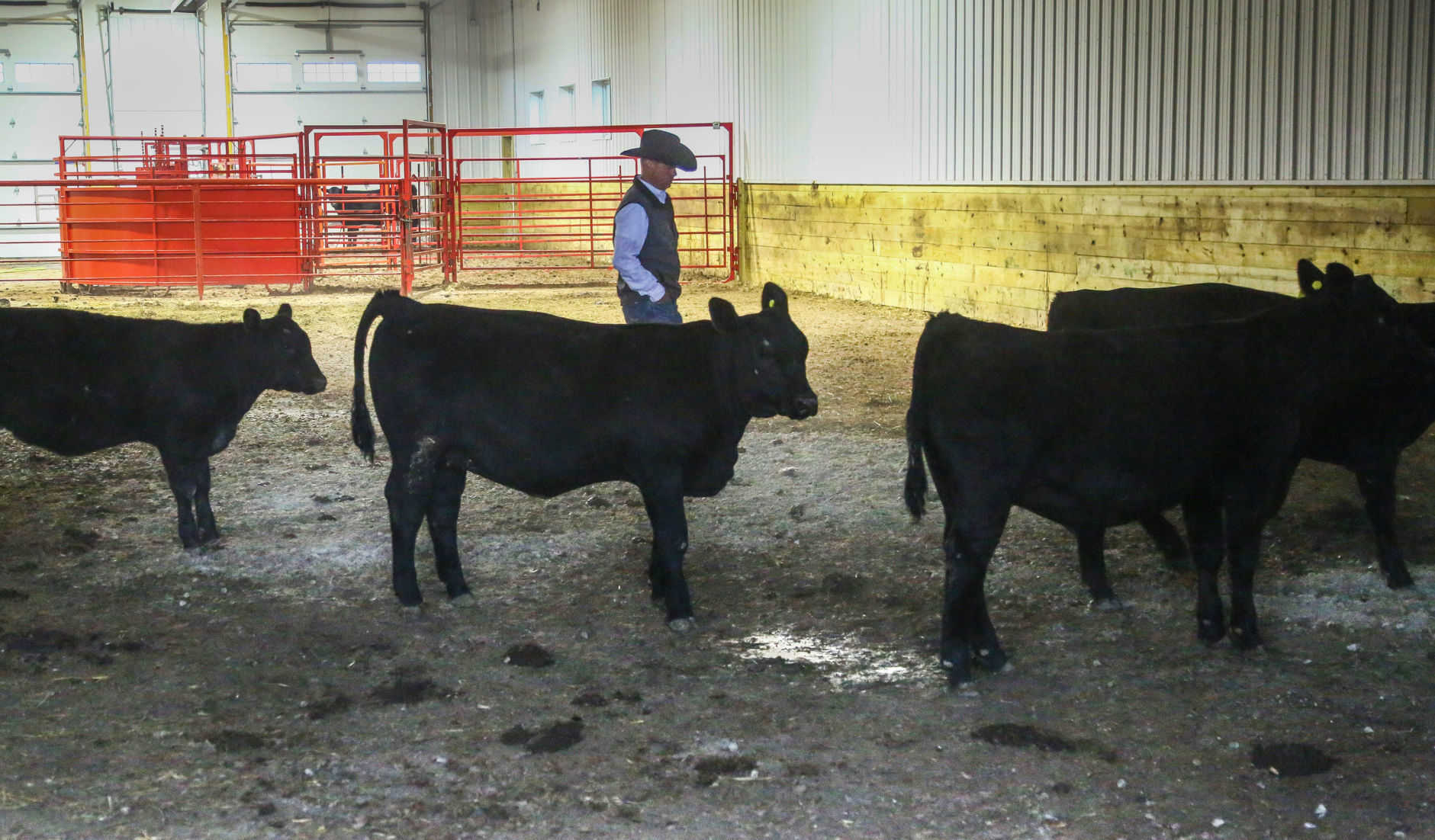 Coronavirus and its impact on meat production